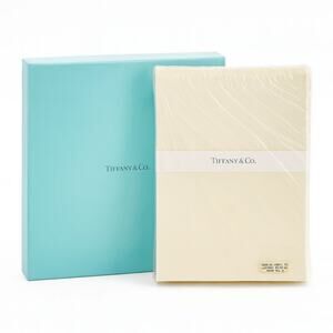 Tiffany & Co Ecru Panelled Plain Note Cards Set 25 w Envelopes Tiffany Blue Box